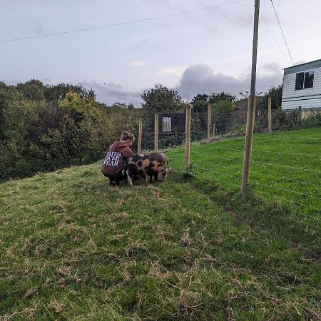 Вилла The Piggery Witheridge Экстерьер фото