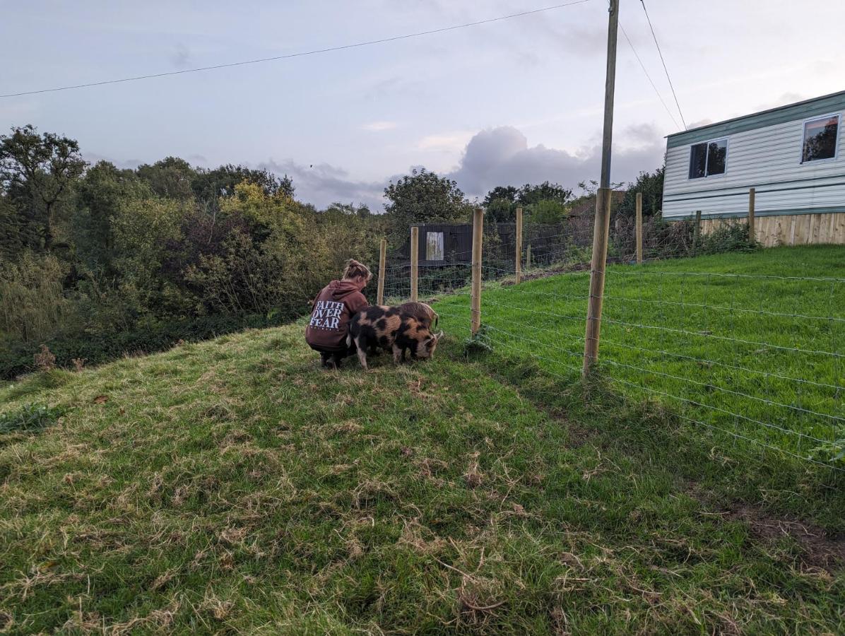 Вилла The Piggery Witheridge Экстерьер фото